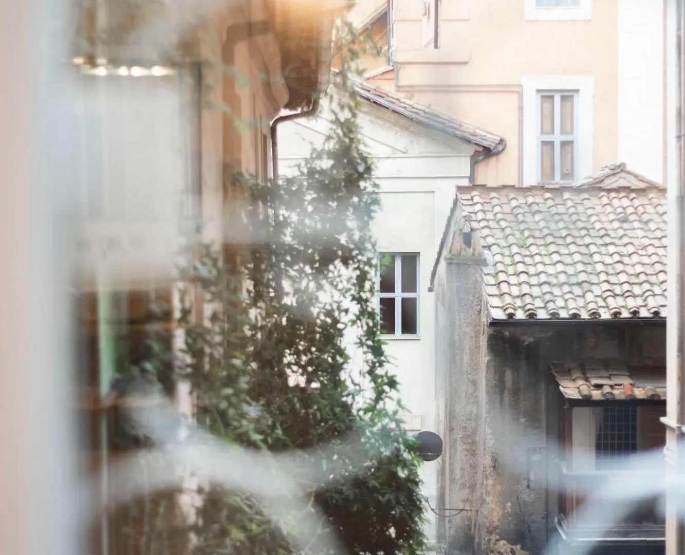 Guest house Domus Vitra Hotel Rome